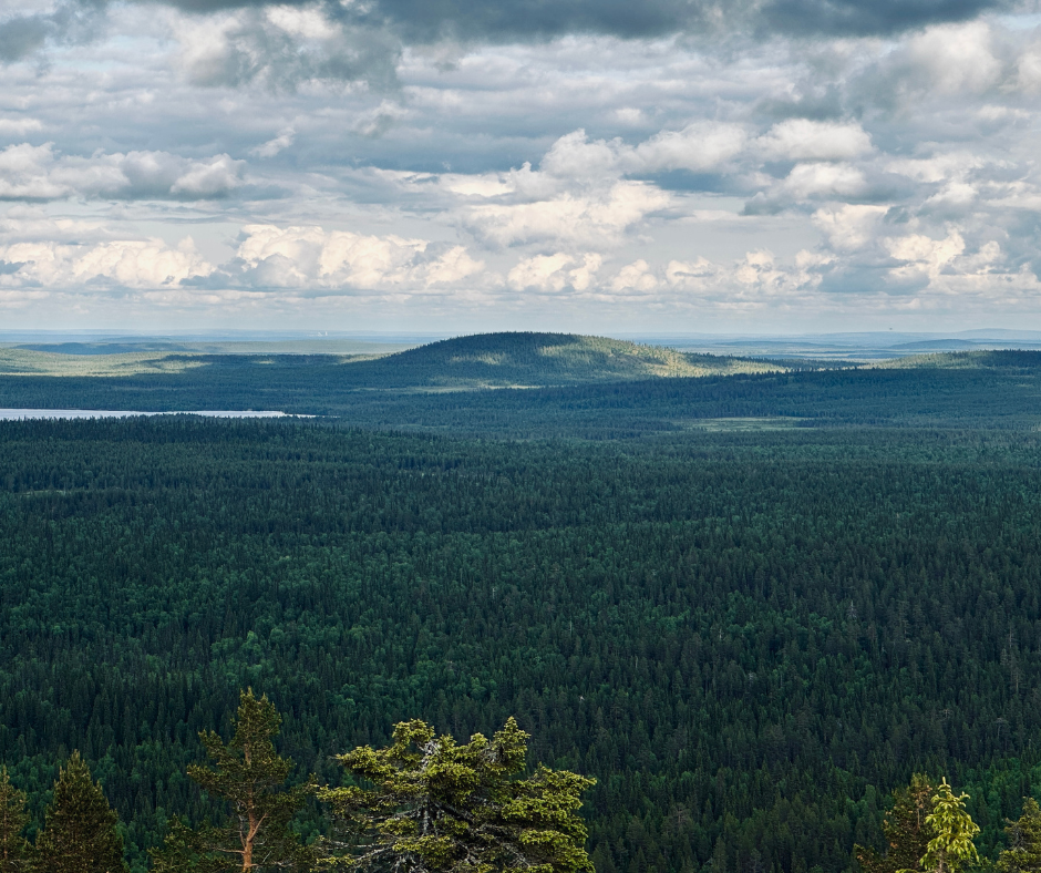 Maisema Lappi