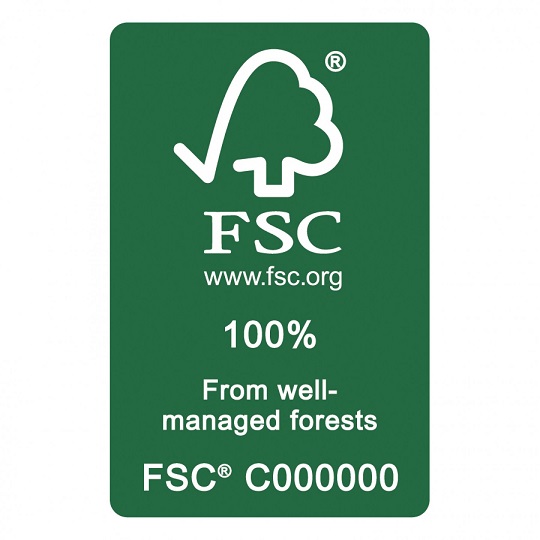 logo FSC 100