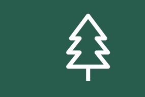 forest management icon