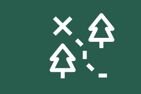 Forestry planning icon