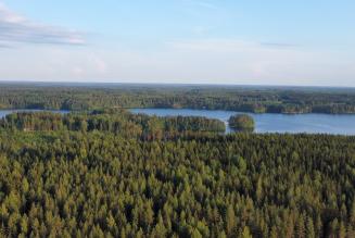 Dronekuva järvestä