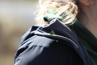 Perhonen olkapäällä