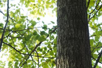 Periaatteet ja kriteerit uudistus