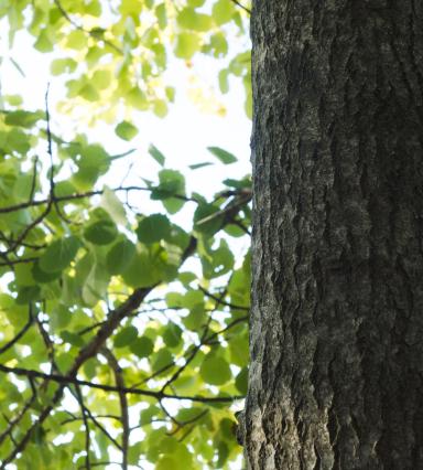 Periaatteet ja kriteerit uudistus