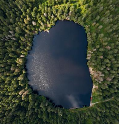 metsäjärvi