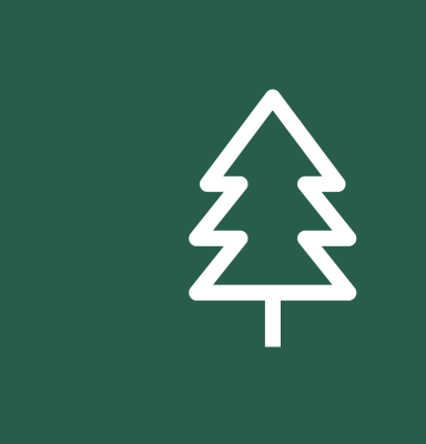 forest management icon