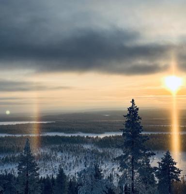 fsc-viikko