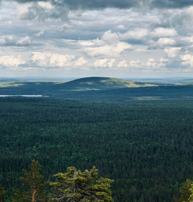 Maisema Lappi