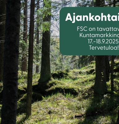 FSC Kuntamarkkinoilla