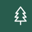 forest management icon